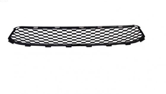 توری داخل سپر جلو