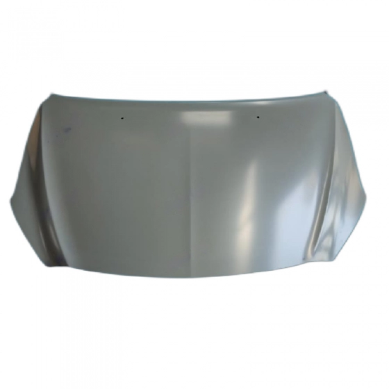 در موتور شاهین